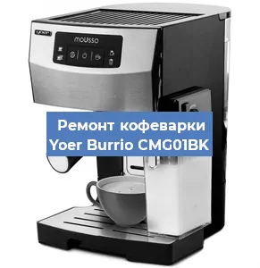 Замена прокладок на кофемашине Yoer Burrio CMG01BK в Воронеже